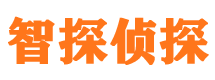 夷陵侦探公司